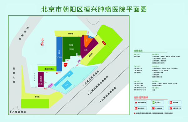 操逼bb视频北京市朝阳区桓兴肿瘤医院平面图